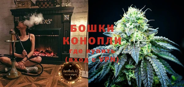 гашик Гусиноозёрск