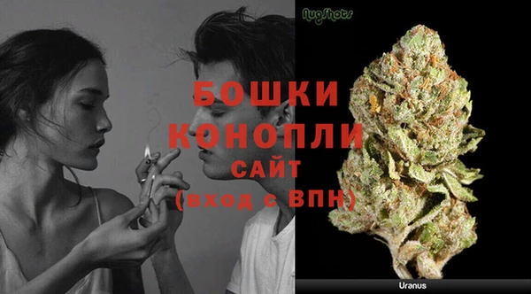 крисы Гусев