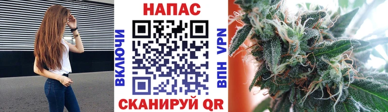 Канабис ГИДРОПОН Керчь